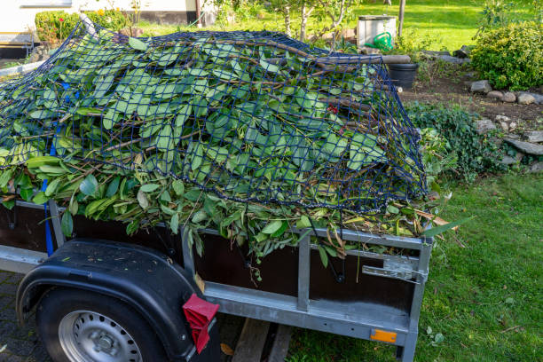 Best Shed Removal  in Inglenook, CT
